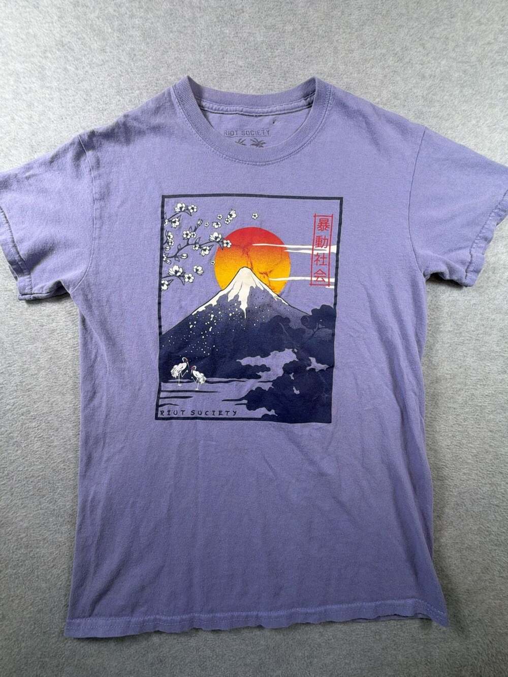 Riot Society Mount Fuji Cherry Blossom Graphic T-Shirt